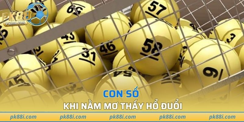 Con số khi nằm mơ thấy hổ đuổi