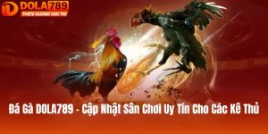 đá gà dola789