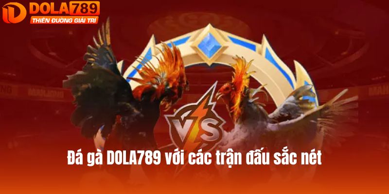 Đá gà DOLA789 với các trận đấu sắc nét