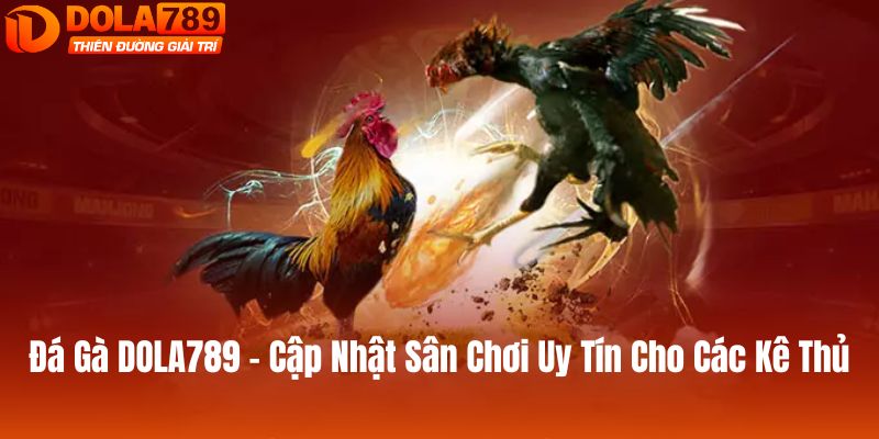 đá gà dola789