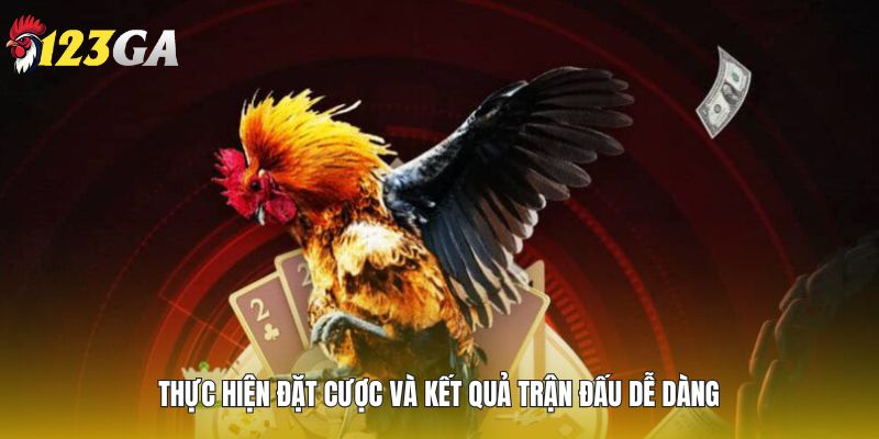 Thực hiện đặt cược và kết quả trận đấu dễ dàng