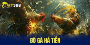 bồ gà hà tiên