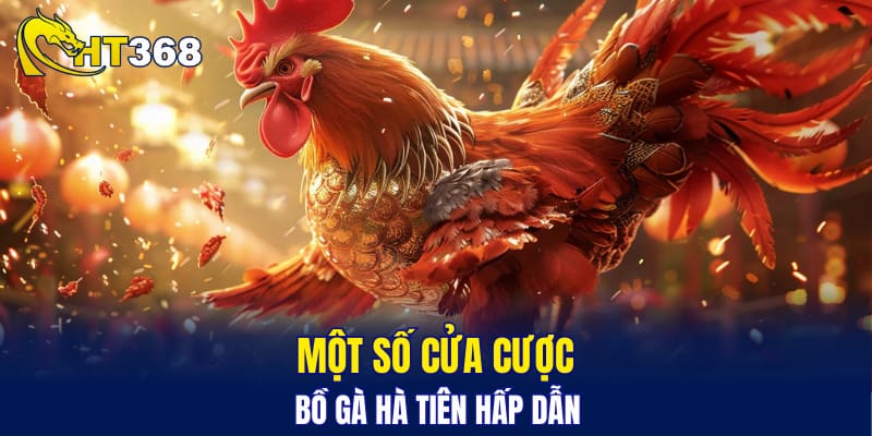 Một số cửa cược bồ gà Hà Tiên hấp dẫn