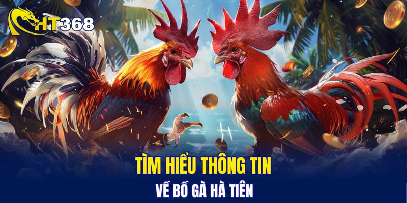 Tìm hiểu thông tin về bồ gà Hà Tiên